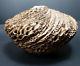 Anne Goldman Studio Art Pottery Textural Vase Vintage Signed