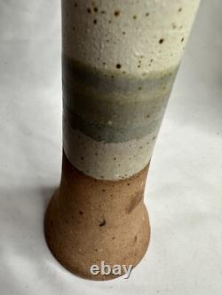 Art Pottery Vase Organic Modern Stoneware Vessel Terra Studio Handmade VTG