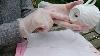 How To Take Out Stains In Porcelain