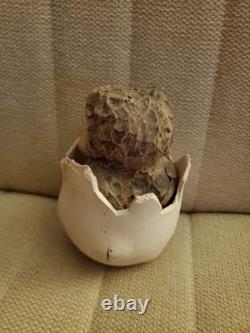 John & Jan Mullin Studio Pottery Bird in cracked Egg Very Collectable