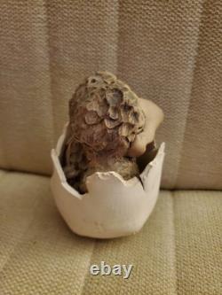 John & Jan Mullin Studio Pottery Bird in cracked Egg Very Collectable