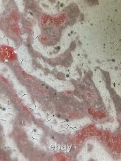 Peter Beard Bowl Stamped -dated 1986 Platter Plate- Studio Pottery Vintage