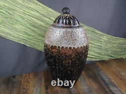 RARE VINTAGE TONY EVANS RAKU Pottery Abstract POT VASE & LID with TAG PERFECT