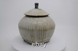 Robert Briscoe Studio Pottery Painted Jar Signed