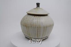 Robert Briscoe Studio Pottery Painted Jar Signed