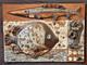 Roz Lowe Studio British Art Pottery Fish Wall Relief Plaque Sculpture Vtg UK Mcm