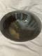 Studio Pottery Bowl Made By Artist Beate Larsen with Mottled Glaze
