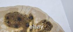 Two Vintage JANET ROTHWOMAN 1960's Studio Art Pottery Plates Abstract