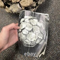 VTG Bodil Marie Nielsen Stoneware Vase Sculpture Brutalist Mid Century MCM 1960s