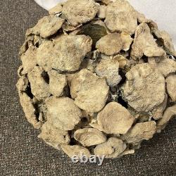 VTG Bodil Marie Nielsen Stoneware Vase Sculpture Brutalist Mid Century MCM 1960s