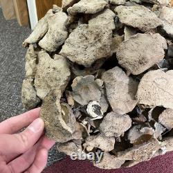 VTG Bodil Marie Nielsen Stoneware Vase Sculpture Brutalist Mid Century MCM 1960s