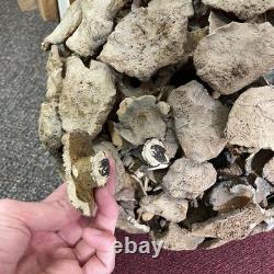 VTG Bodil Marie Nielsen Stoneware Vase Sculpture Brutalist Mid Century MCM 1960s