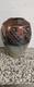 VTG R Kevin Kelly Signed Studio Art Vase Excellent VTG Condition No Chips