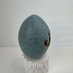 Vintage 1991 Dennis Thompson Studio Pottery Snobhog Dragon Egg Blue Egg 30-1