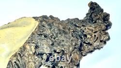 Vintage Brutalist Ceramic Sculpture Anteater Style Animal Form Studio Pottery Or