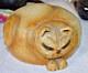 Vintage Ceramics Sleep Cat Art Studio Pottery Cat Sculpture- Signed 7.5