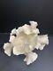 Vintage Grace Pilato Studio Pottery Organic Sea Form Porcelain Art Sculpture