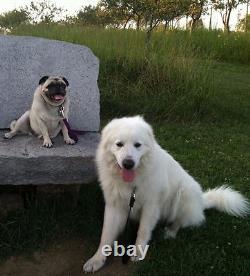 Vintage Japanese Studio Pottery Crystalline Ikebana Zen Bud Bottle Signed Vase