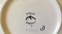 Vintage Poole Delphis Studio Pottery Charger Carol Cutler 1960s 36cm 14