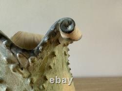 Vintage Studio Art Pottery. Sculptural Vessel. Organic Form. Wavy Rim. Textured