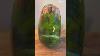 Vintage Studio Pottery Vase Https WWW Facebook Com Share 18z1iurwmu Mibextid Wwxifr