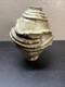 Vintage Studio Pottery Vase Like Stephen Parry 10h X 8w